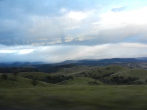 View out of the bus on Jenolan Caves Road in Blue Mountains