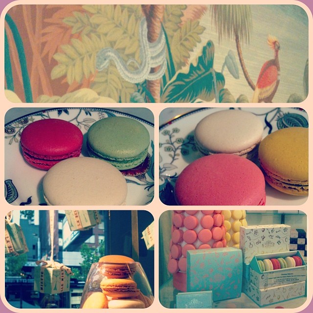 Bunte Macorons in einem türkisfarbenen Cafe mit farbenfroher Dschungelbemalung an der Wand.