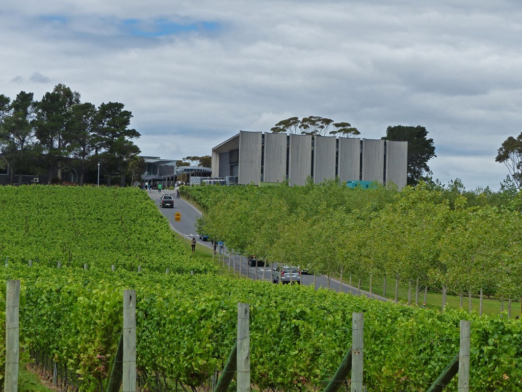 Weinberg vor und von MONA in Hobart