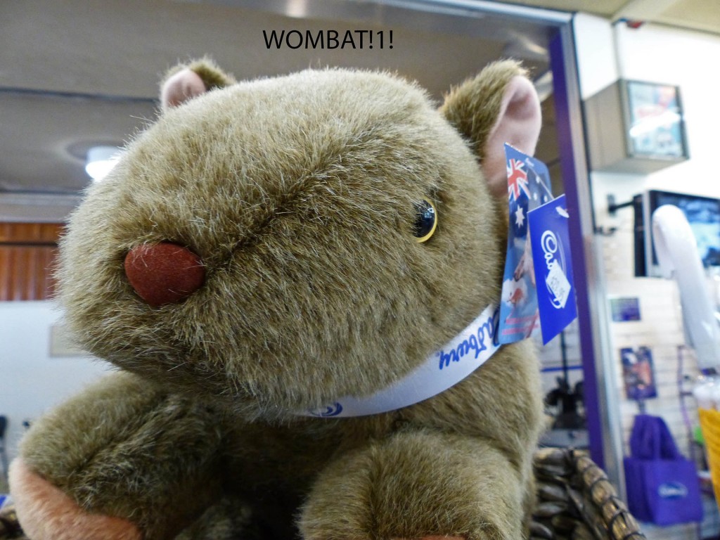 Wombat-Kuscheltier mit Cadbury-Schleife