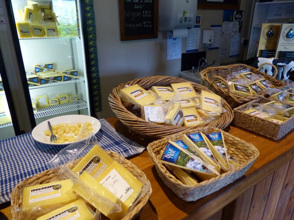 ausgezeichneter Cheddar von Pyengana Diary