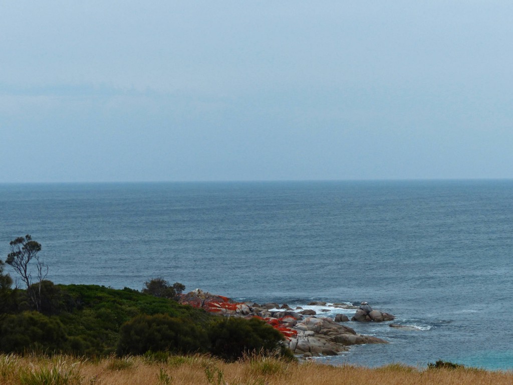 rote Felsen in der Bay Of Fires