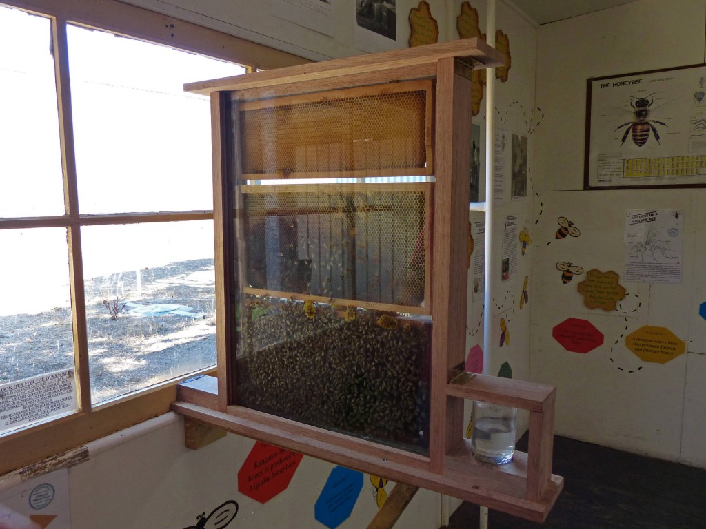 Bienenstock auf Cliffords Honey Farm